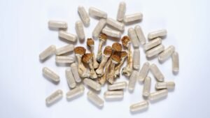 Magic mushroom capsules containing Cambodian Cubensis for psilocybin microdosing, available online from psychedelic2 in Georgia and Oregon