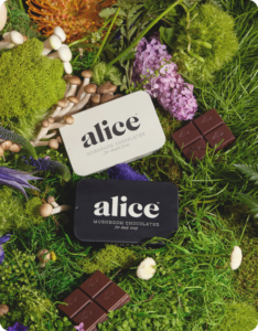 Alice Mushroom Chocolate bar with psilocybin infusion, premium Belgian chocolate, and psychedelic packaging.