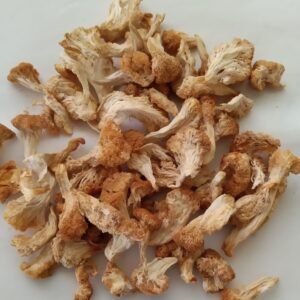 Lion’s Mane mushroom powder in spoon – powdered Lion’s Mane supplement for mood support