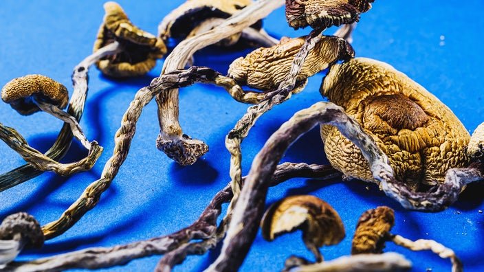 You are currently viewing psilocybin mushrooms for anxiety