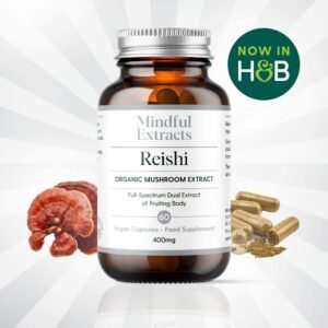 Reishi mushrooms on rustic background – dried Reishi mushrooms known for calming effects