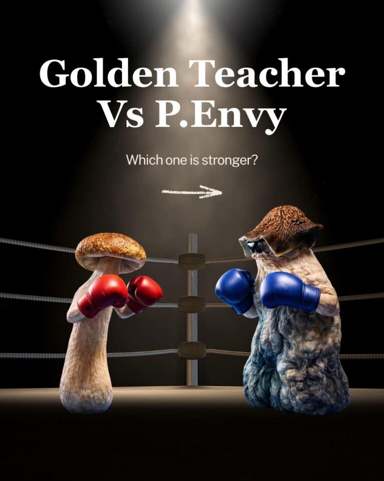 Read more about the article Golden teacher mushrooms vs Penis Envy