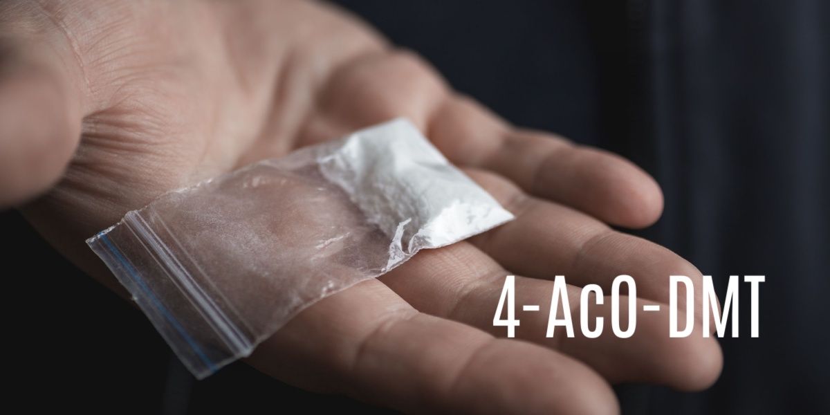 Read more about the article 4-acO-DMT-research-guide